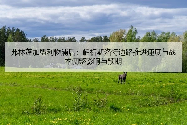 弗林蓬加盟利物浦后：解析斯洛特边路推进速度与战术调整影响与预期