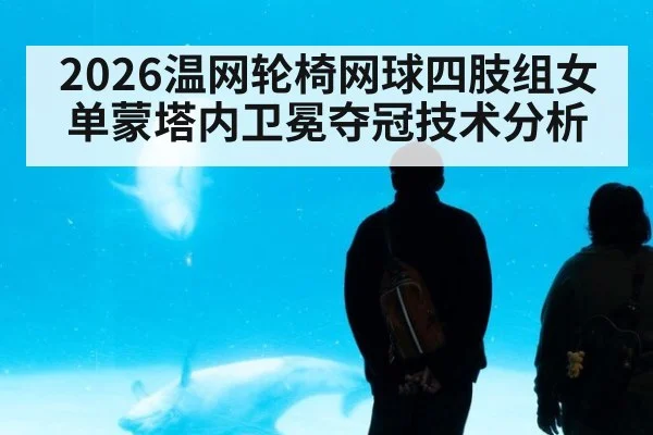 2026温网轮椅网球四肢组女单蒙塔内卫冕夺冠技术分析