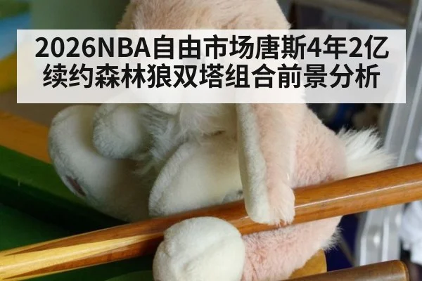 2026NBA自由市场唐斯4年2亿续约森林狼双塔组合前景分析